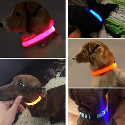 Rechargeable LED Glowing Pet Collars